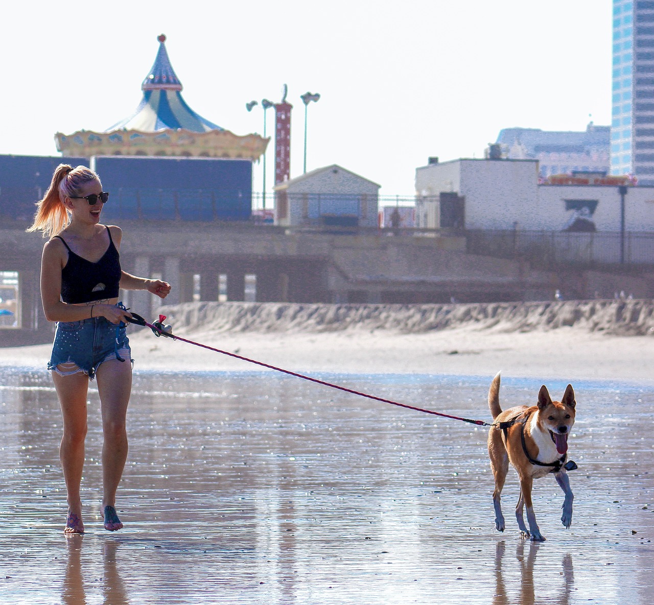 woman-and-dog